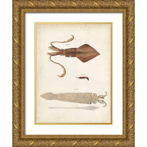 Ocean Curiosities II Gold Ornate Wood Framed Art Print with Double Matting by Dekay