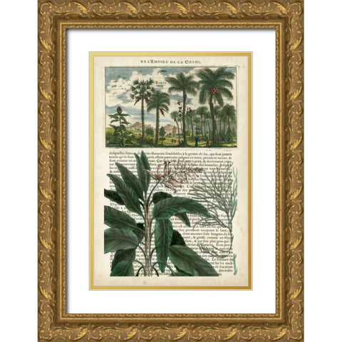 Journal of the Tropics I Gold Ornate Wood Framed Art Print with Double Matting by Vision Studio