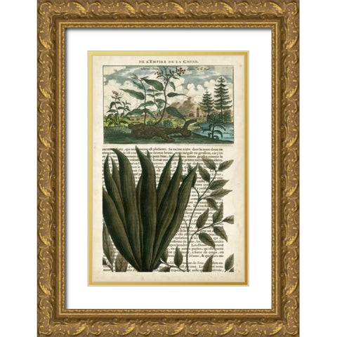 Journal of the Tropics III Gold Ornate Wood Framed Art Print with Double Matting by Vision Studio