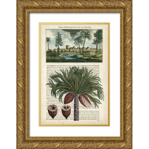 Journal of the Tropics IV Gold Ornate Wood Framed Art Print with Double Matting by Vision Studio