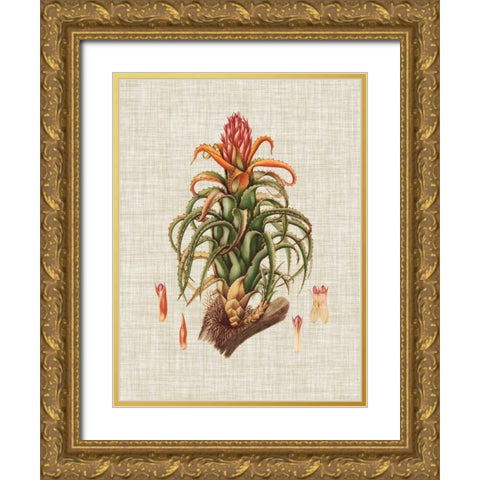 Elegant Tropicals IV Gold Ornate Wood Framed Art Print with Double Matting by Vision Studio