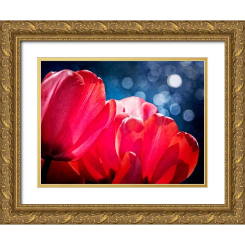 Fuchsia Tulips IV Gold Ornate Wood Framed Art Print with Double Matting by Perry, Rachel