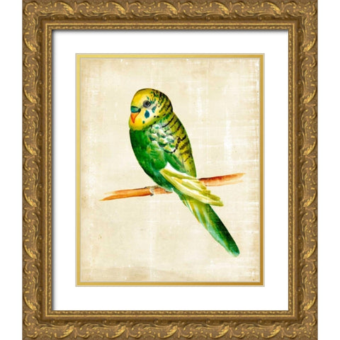 Fanciful Birds III Gold Ornate Wood Framed Art Print with Double Matting by Zarris, Chariklia