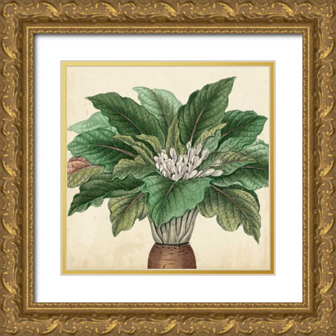 Garden Bounty V Gold Ornate Wood Framed Art Print with Double Matting by Vision Studio