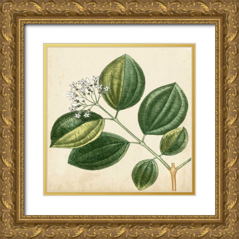 Garden Bounty VII Gold Ornate Wood Framed Art Print with Double Matting by Vision Studio