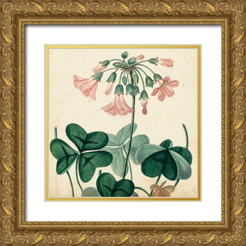 Garden Bounty VIII Gold Ornate Wood Framed Art Print with Double Matting by Vision Studio