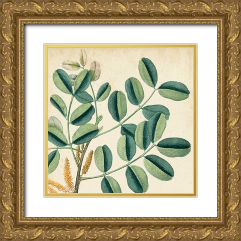 Garden Bounty IX Gold Ornate Wood Framed Art Print with Double Matting by Vision Studio