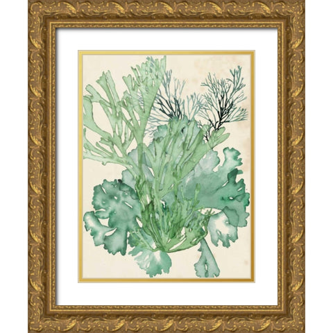 Seaweed Composition II Gold Ornate Wood Framed Art Print with Double Matting by McCavitt, Naomi