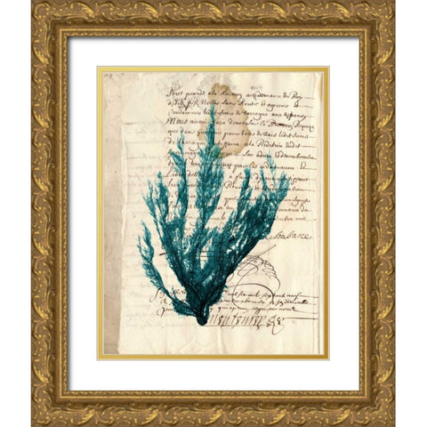 Vintage Teal Seaweed II Gold Ornate Wood Framed Art Print with Double Matting by Vision Studio