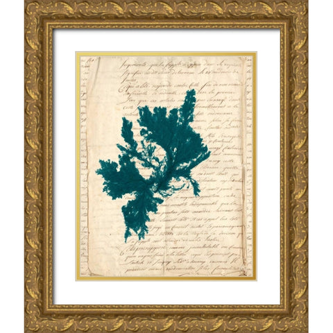 Vintage Teal Seaweed IV Gold Ornate Wood Framed Art Print with Double Matting by Vision Studio