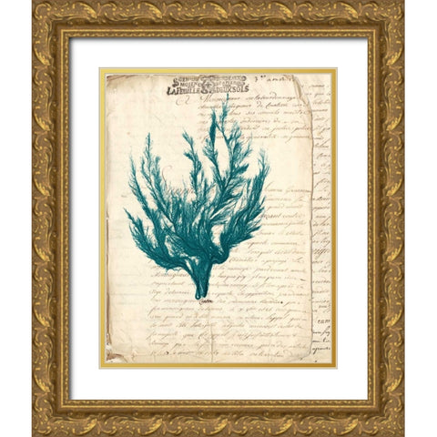 Vintage Teal Seaweed V Gold Ornate Wood Framed Art Print with Double Matting by Vision Studio