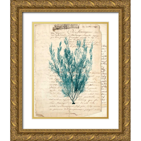 Vintage Teal Seaweed VII Gold Ornate Wood Framed Art Print with Double Matting by Vision Studio