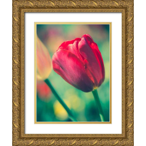Tulip Sway II Gold Ornate Wood Framed Art Print with Double Matting by Quintero, Sonja