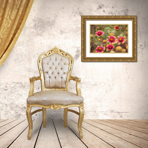 Wild Blooms II Gold Ornate Wood Framed Art Print with Double Matting by Quintero, Sonja