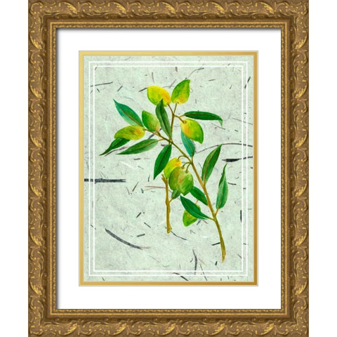 Olives on Textured Paper I Gold Ornate Wood Framed Art Print with Double Matting by Wang, Melissa