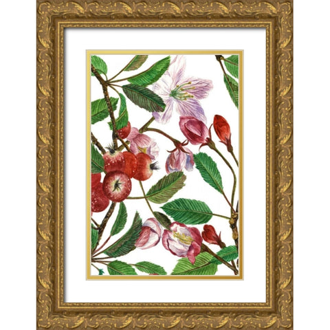 Malus Melliana I Gold Ornate Wood Framed Art Print with Double Matting by Wang, Melissa