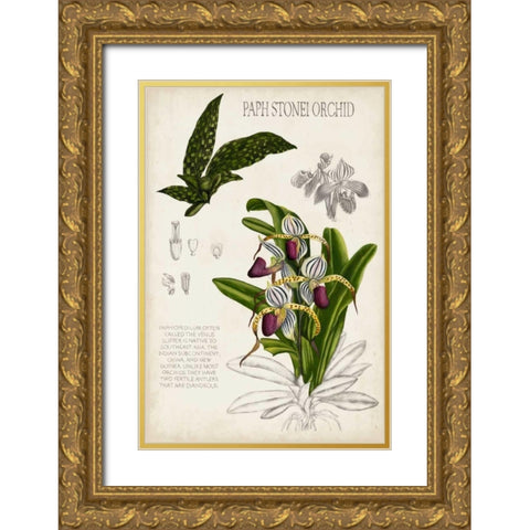 Orchid Field Notes I Gold Ornate Wood Framed Art Print with Double Matting by McCavitt, Naomi