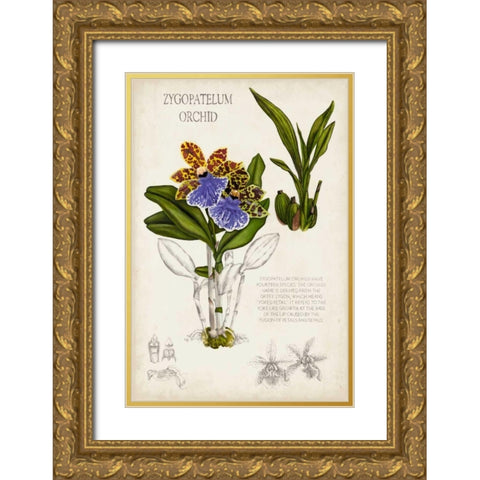 Orchid Field Notes II Gold Ornate Wood Framed Art Print with Double Matting by McCavitt, Naomi