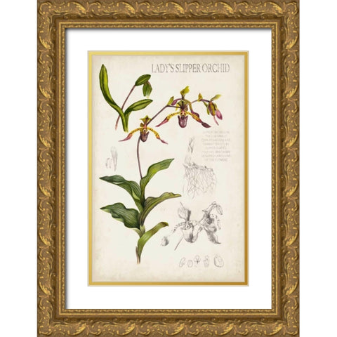 Orchid Field Notes III Gold Ornate Wood Framed Art Print with Double Matting by McCavitt, Naomi