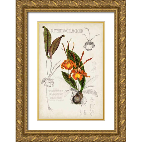 Orchid Field Notes IV Gold Ornate Wood Framed Art Print with Double Matting by McCavitt, Naomi