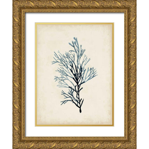 Seaweed Specimens IV Gold Ornate Wood Framed Art Print with Double Matting by McCavitt, Naomi