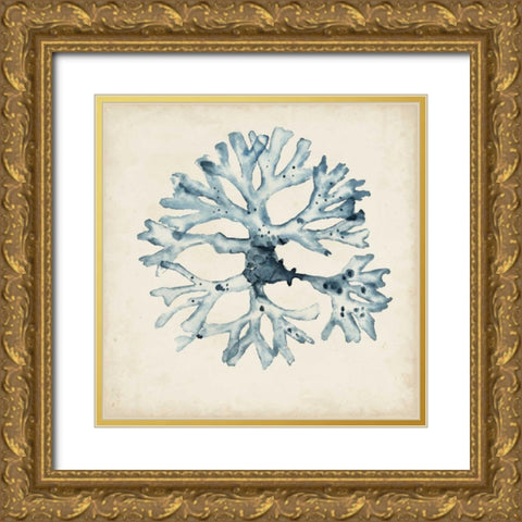 Seaweed Specimens X Gold Ornate Wood Framed Art Print with Double Matting by McCavitt, Naomi