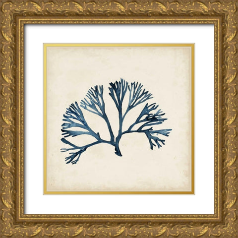 Seaweed Specimens XI Gold Ornate Wood Framed Art Print with Double Matting by McCavitt, Naomi