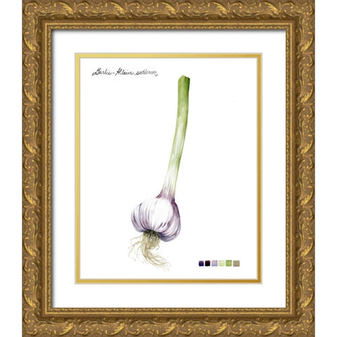 Root Vegetable I Gold Ornate Wood Framed Art Print with Double Matting by Popp, Grace