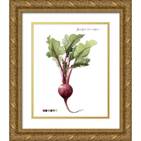 Root Vegetable II Gold Ornate Wood Framed Art Print with Double Matting by Popp, Grace