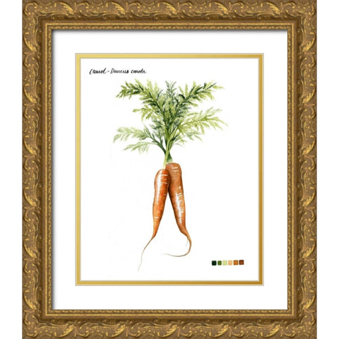 Root Vegetable III Gold Ornate Wood Framed Art Print with Double Matting by Popp, Grace