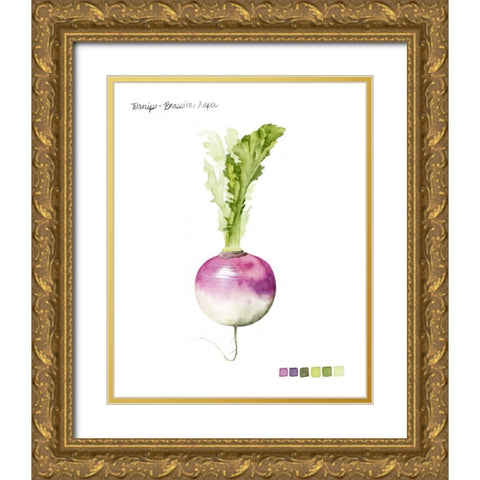 Root Vegetable VI Gold Ornate Wood Framed Art Print with Double Matting by Popp, Grace