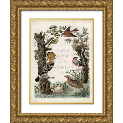 Woodpecker Sanctuary   Gold Ornate Wood Framed Art Print with Double Matting by Nozeman