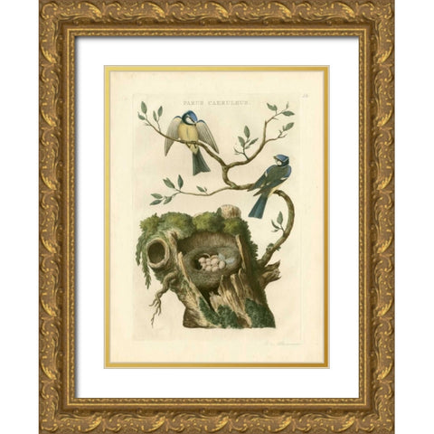 Nozeman Birds and Nests  III Gold Ornate Wood Framed Art Print with Double Matting by Nozeman