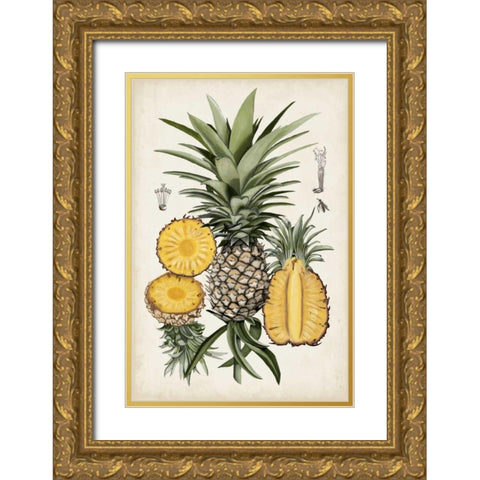 Pineapple Botanical Study I Gold Ornate Wood Framed Art Print with Double Matting by McCavitt, Naomi