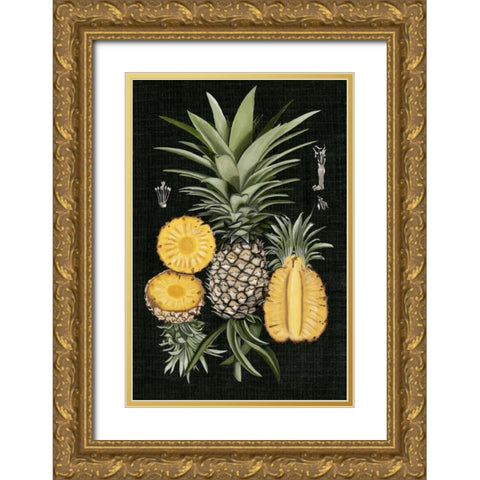 Graphic Pineapple Botanical Study I Gold Ornate Wood Framed Art Print with Double Matting by McCavitt, Naomi