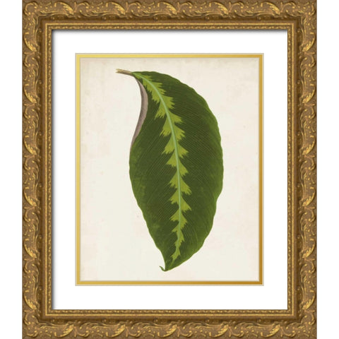 Graphic Leaf I Gold Ornate Wood Framed Art Print with Double Matting by Vision Studio