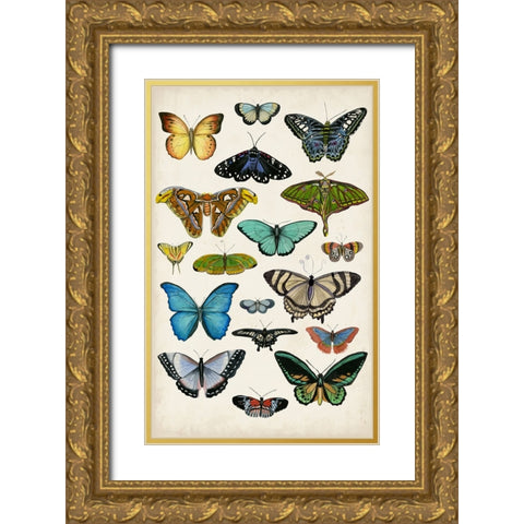Butterfly Taxonomy I Gold Ornate Wood Framed Art Print with Double Matting by McCavitt, Naomi