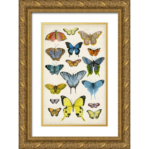 Butterfly Taxonomy II Gold Ornate Wood Framed Art Print with Double Matting by McCavitt, Naomi