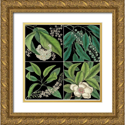 Graphic Botanical Grid I Gold Ornate Wood Framed Art Print with Double Matting by Catesby, Mark