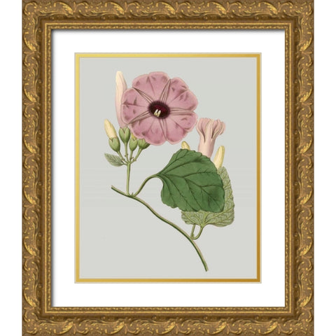 Floral Gems IV Gold Ornate Wood Framed Art Print with Double Matting by Vision Studio