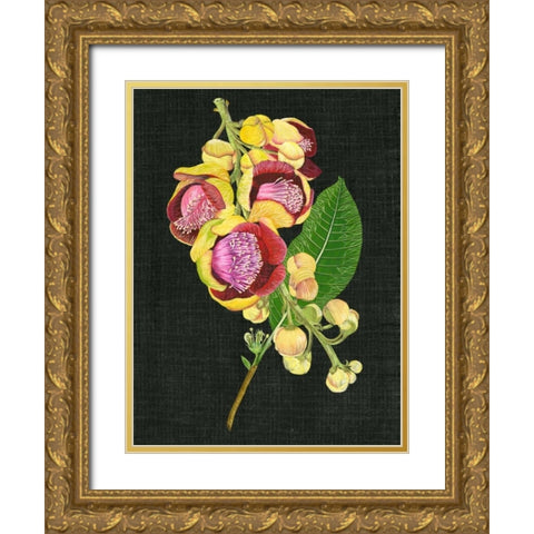 Couroupita Guianensis I Gold Ornate Wood Framed Art Print with Double Matting by Wang, Melissa