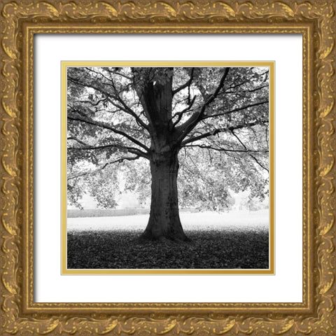 Woodland Tones III Gold Ornate Wood Framed Art Print with Double Matting by Henson, Martin