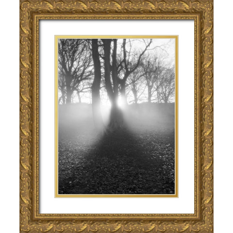 Morning Light Gold Ornate Wood Framed Art Print with Double Matting by Henson, Martin