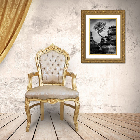 Rock Life Gold Ornate Wood Framed Art Print with Double Matting by Henson, Martin