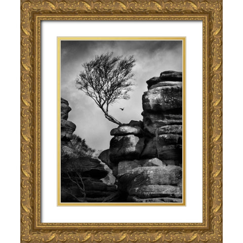 Rock Life Gold Ornate Wood Framed Art Print with Double Matting by Henson, Martin