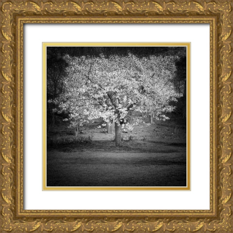 Woodland Tones II Gold Ornate Wood Framed Art Print with Double Matting by Henson, Martin
