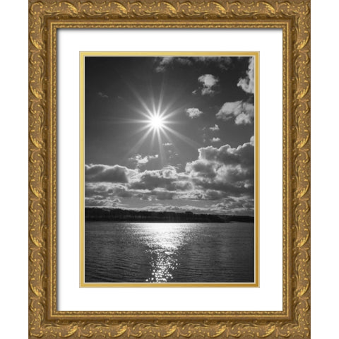 Sun Burst Gold Ornate Wood Framed Art Print with Double Matting by Henson, Martin