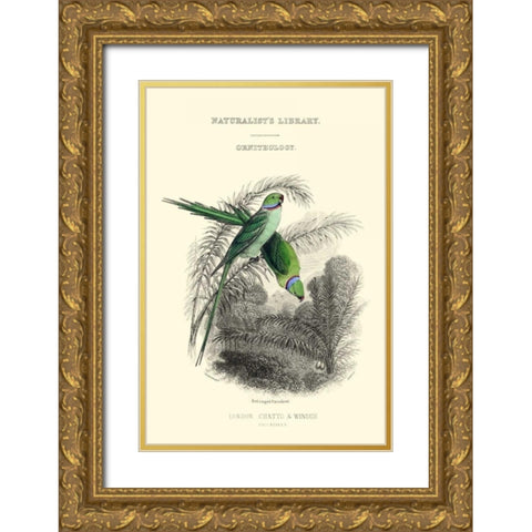 The Naturalists Library I Gold Ornate Wood Framed Art Print with Double Matting by Lizars, W.H.