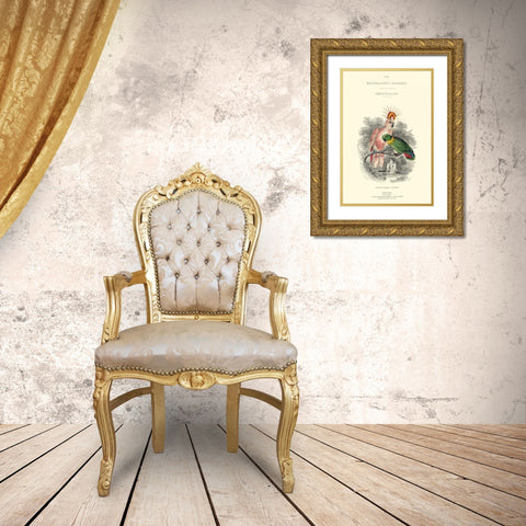 The Naturalists Library II Gold Ornate Wood Framed Art Print with Double Matting by Lizars, W.H.