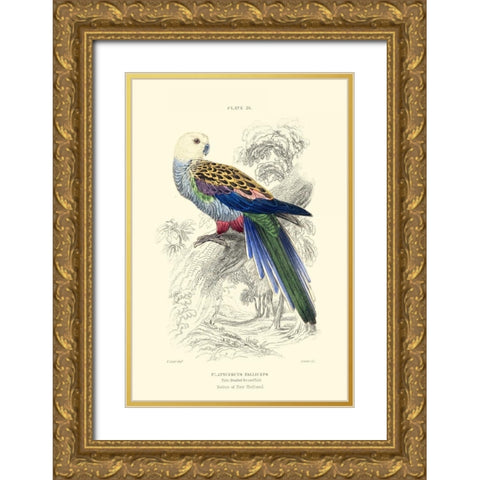 The Naturalists Library IV Gold Ornate Wood Framed Art Print with Double Matting by Lizars, W.H.